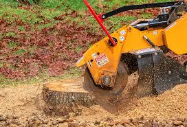  Elmira, NY Tree Removal Pros