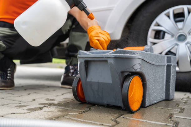 Best Lawn Pest Prevention  in Elmira, NY